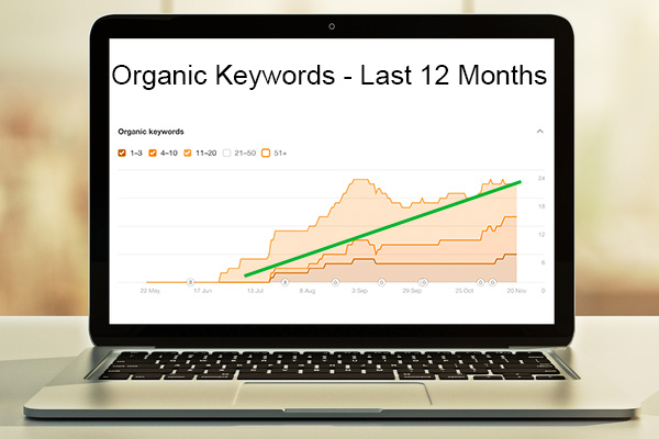 Organic Keyword Rankings