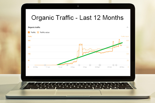 SEO Organic Traffic