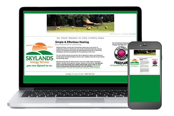 Skylands Energy Service Website Before